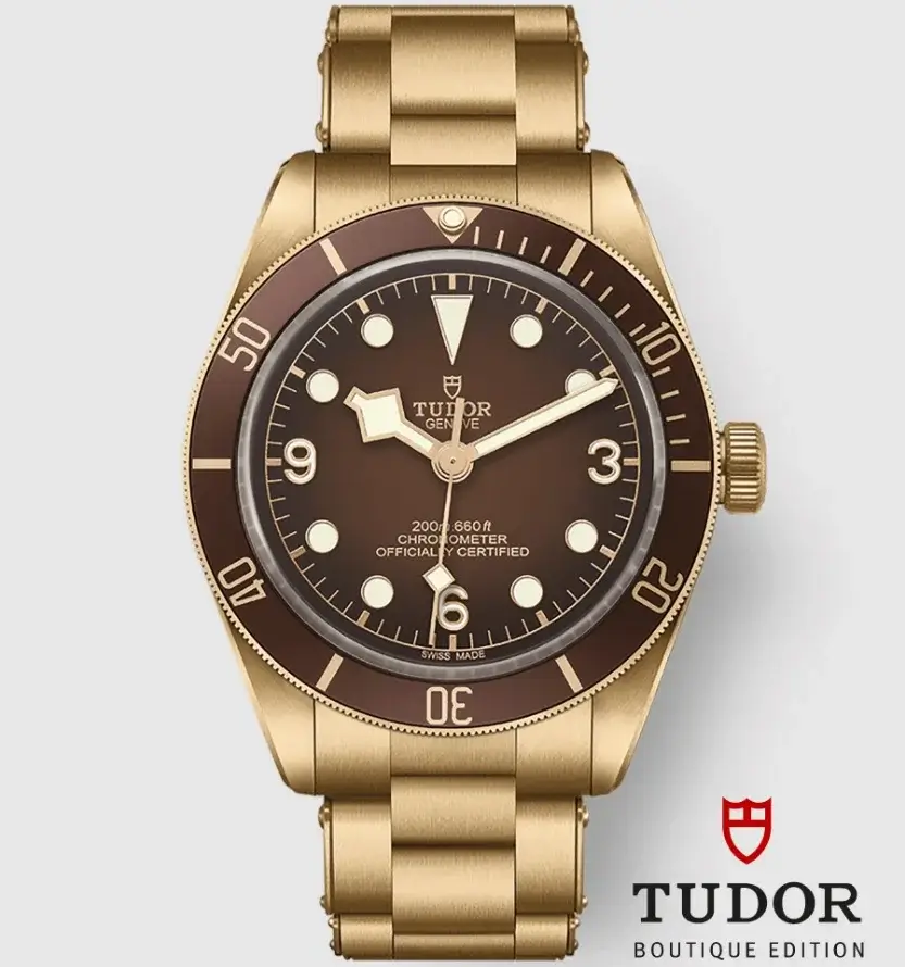 Đồng hồ Tudor Black Bay Bronze 79012m-0001