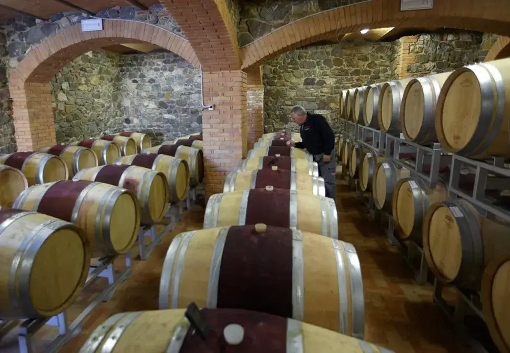 Xưởng sản xuất rượu vang của Bulgari