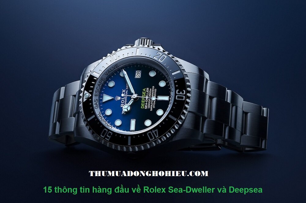 15 thông tin hàng đầu về đồng hồ Rolex Sea-Dweller và Deepsea