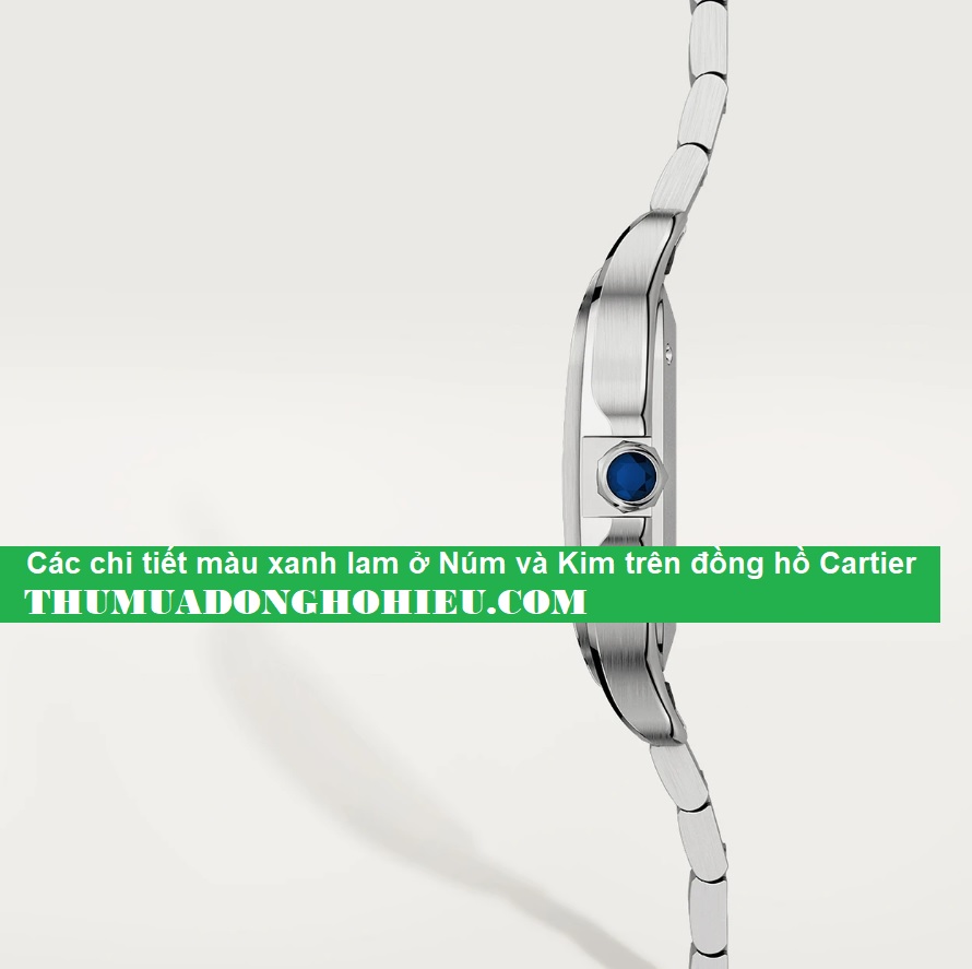 Xác thực của đồng hồ Cartier - Các chi tiết màu xanh lam