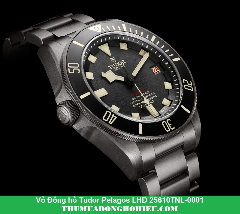 Đồng hồ Tudor Pelagos LHD 25610TNL-0001 - Case