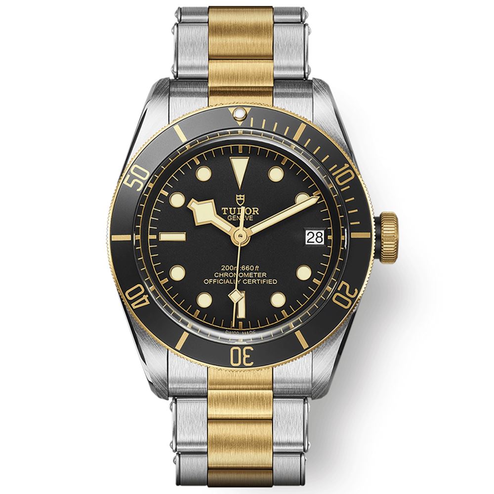 Đồng hồ Tudor Black Bay S&G M79733N-0008