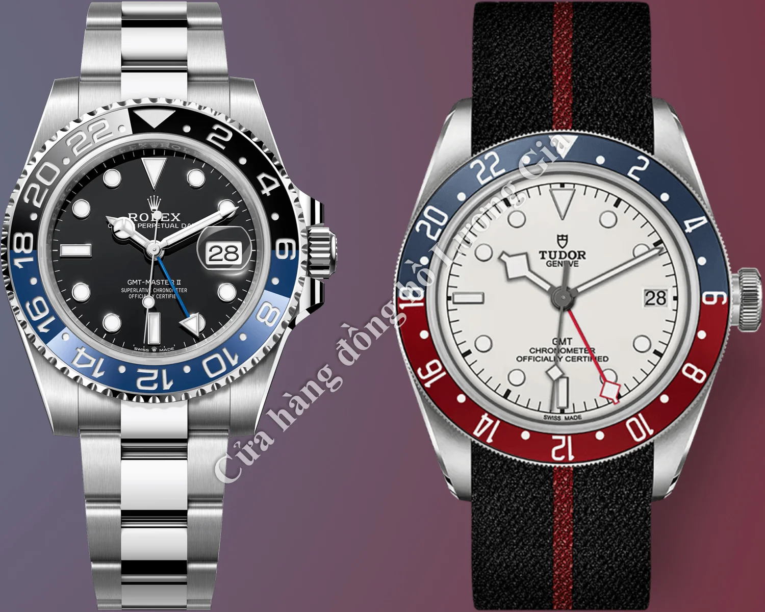 Đồng hồ Rolex GMT-Master vs Tudor GMT