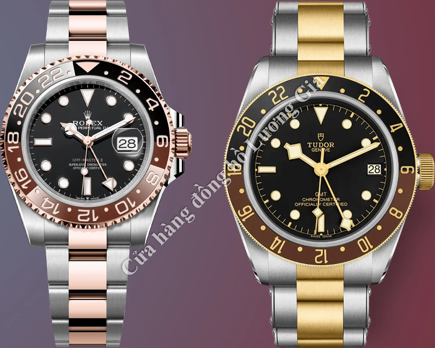 Rolex GMT-Master vs Tudor GMT: Đối tượng Mục tiêu và Khả năng Đeo