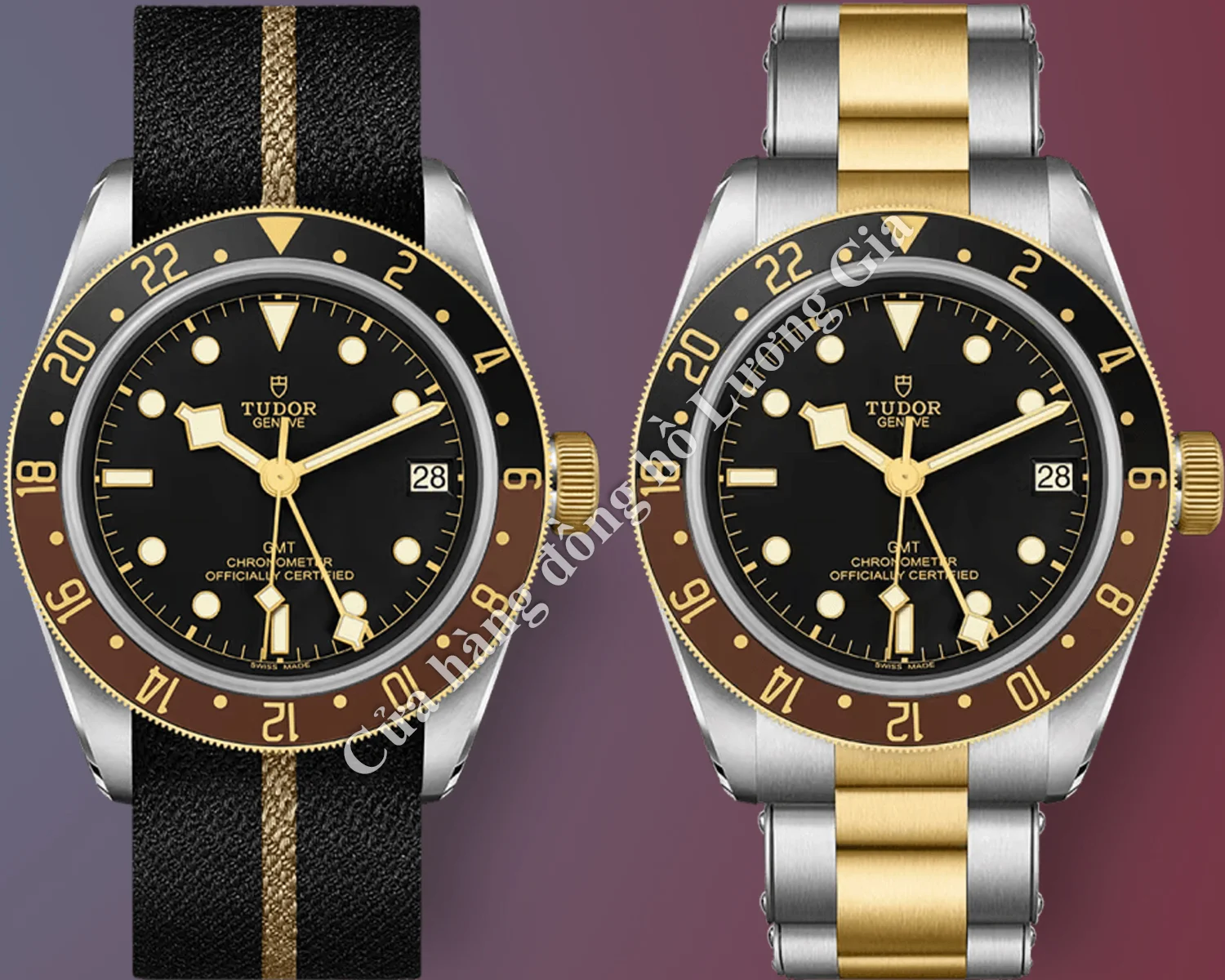 Ai nên chọn đồng hồ Tudor GMT?