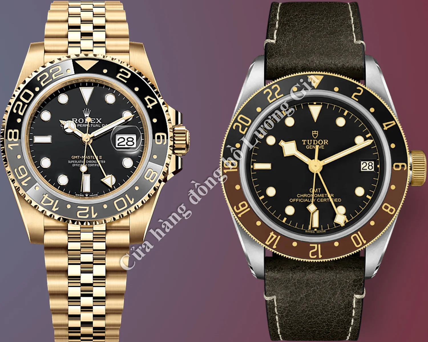 Rolex GMT-Master vs Tudor GMT: Các Phiên bản Đồng hồ và Mã Tham chiếu