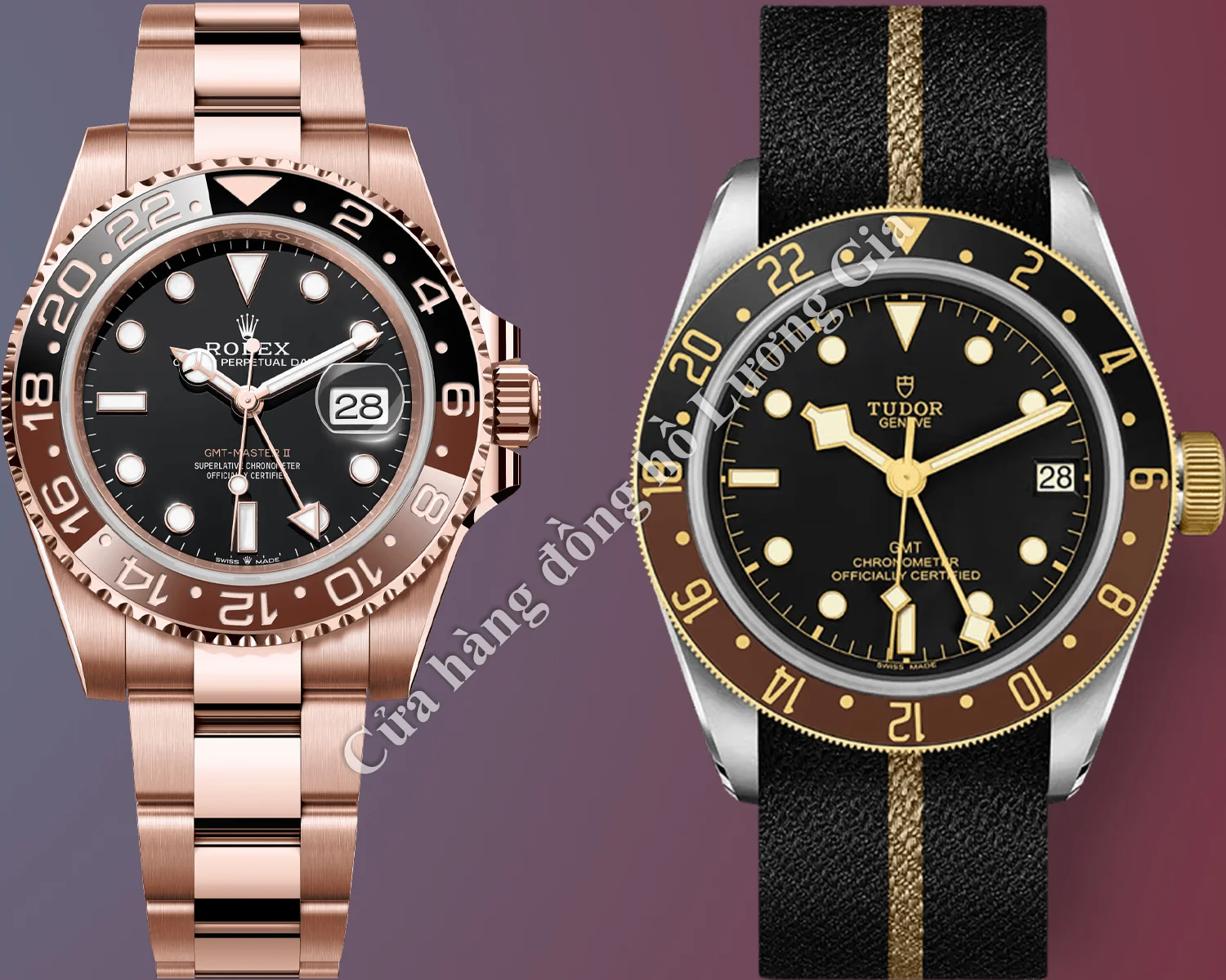 Rolex GMT-Master vs Tudor GMT: Thiết kế và Thẩm mỹ