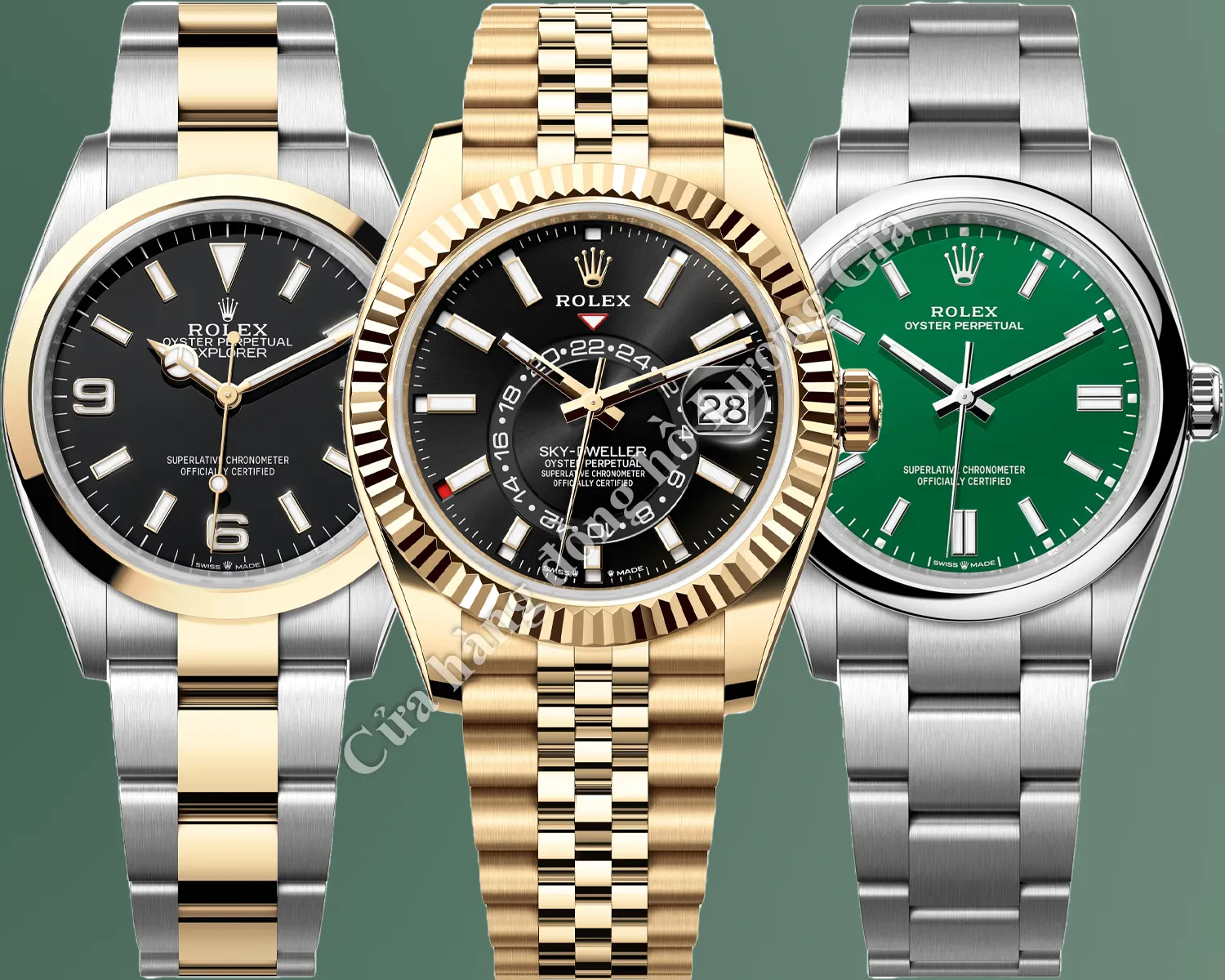 Cách Đọc Số Tham Chiếu Rolex