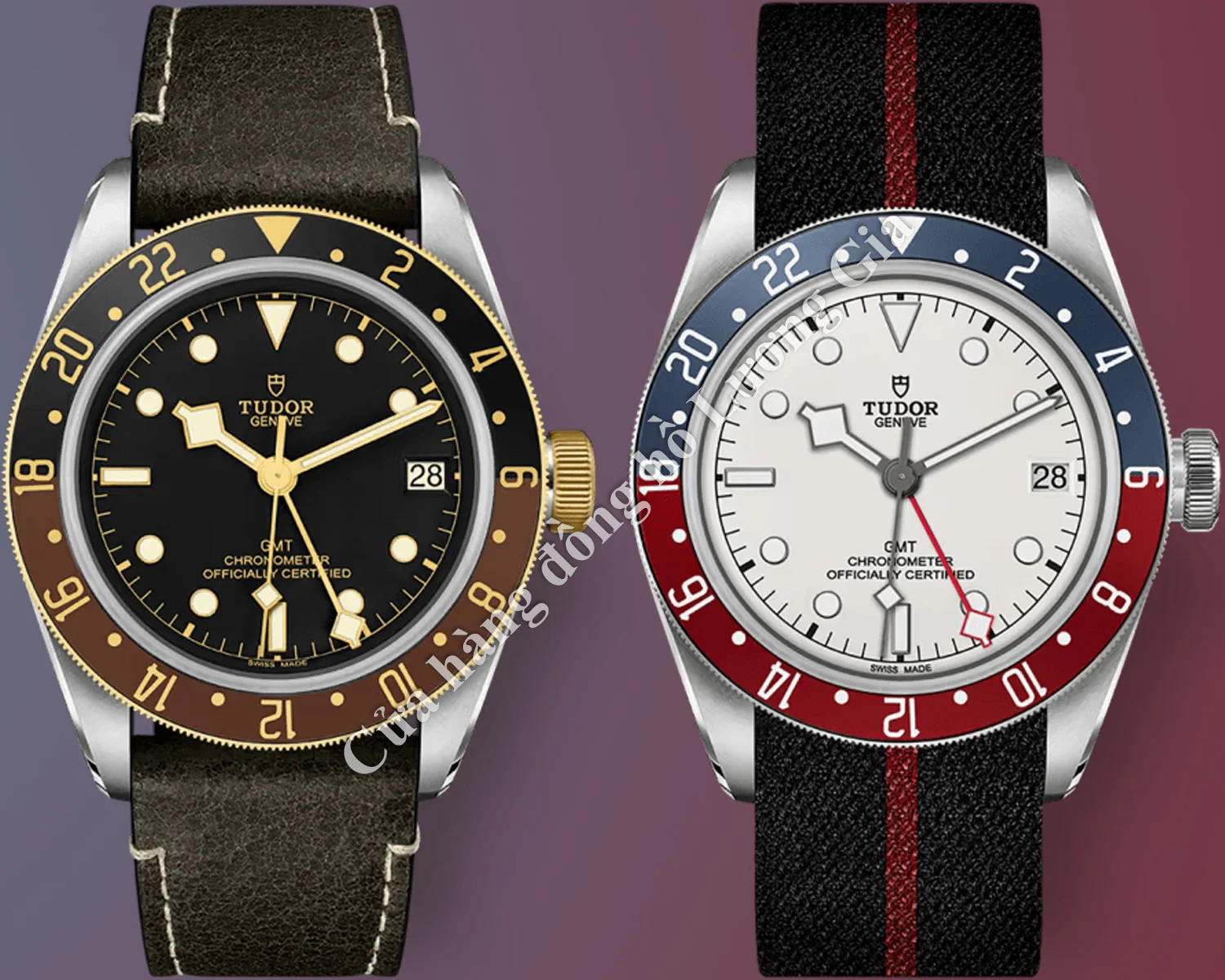 Các Mẫu đồng hồ Tudor GMT