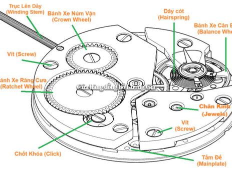 Cơ Chế Hoạt Động Cơ Bản Của Đồng Hồ Cơ