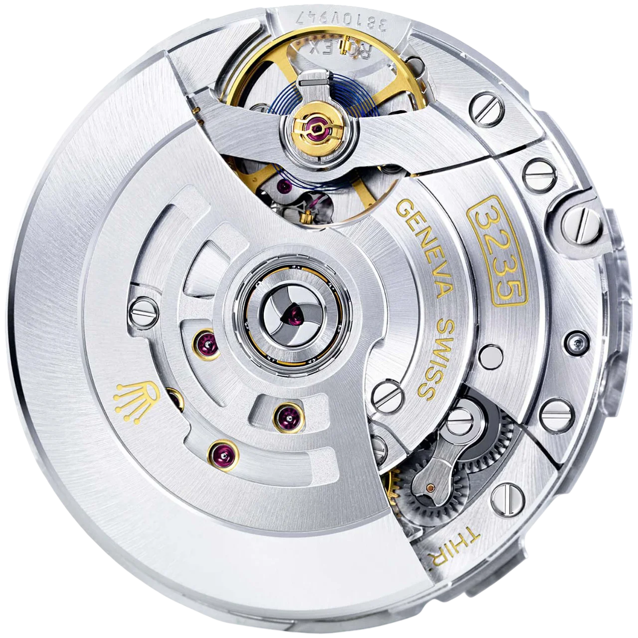 Rotor Trung tâm (Central Rotor)
