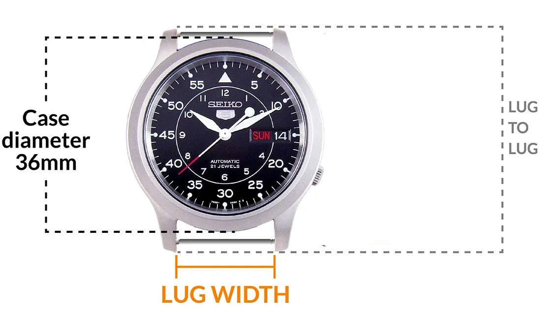 Tại sao thông số Lugs lại quan trọng? Phân biệt Lug Width và Lug-to-Lug