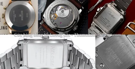 Stainless Steel Back Là Gì? Ý Nghĩa & Cách Phân Biệt Chính Xác