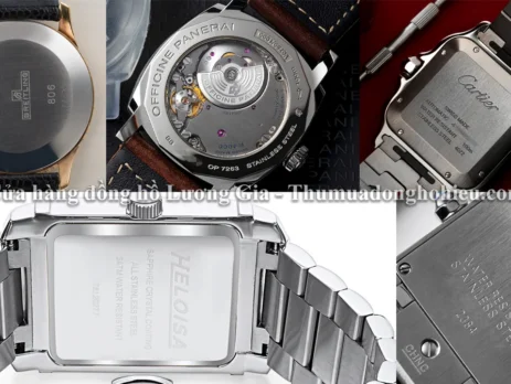 Stainless Steel Back Là Gì? Ý Nghĩa & Cách Phân Biệt Chính Xác